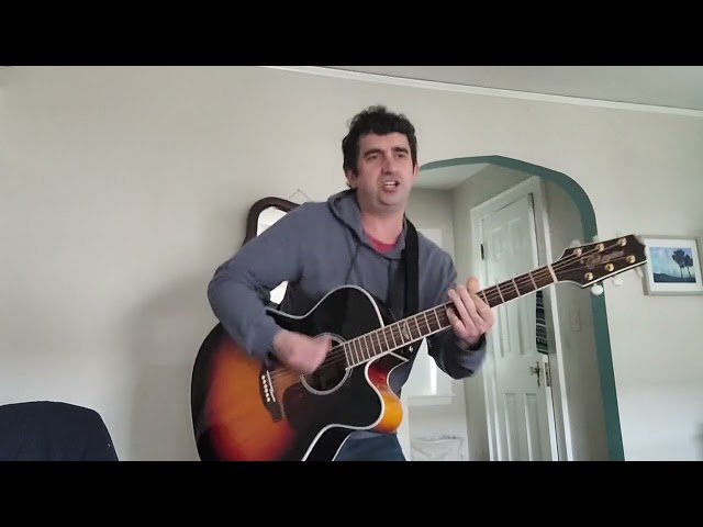 Blur - There's No Other Way (Acoustic Cover)