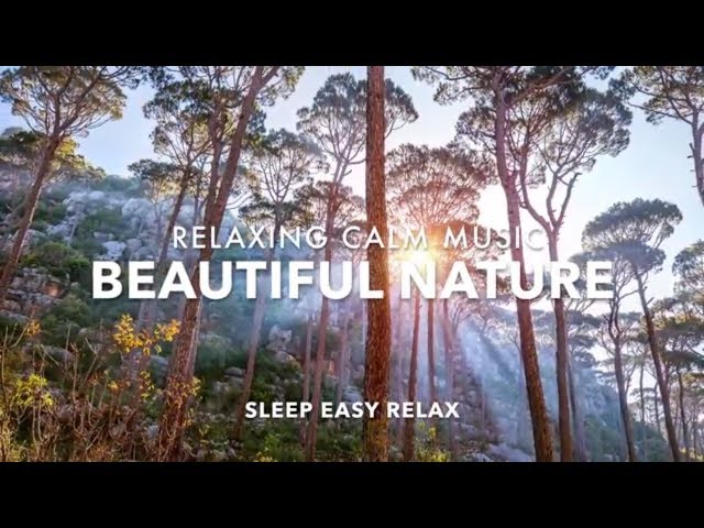 Calming Relaxing Music,  Nature Sleep, Stress Relief Music, Deep Dreams Sleeping Music