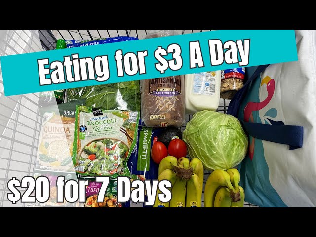 $20 for 7 Days | Eating for $3 a Day | Easy Budget Meal Plan