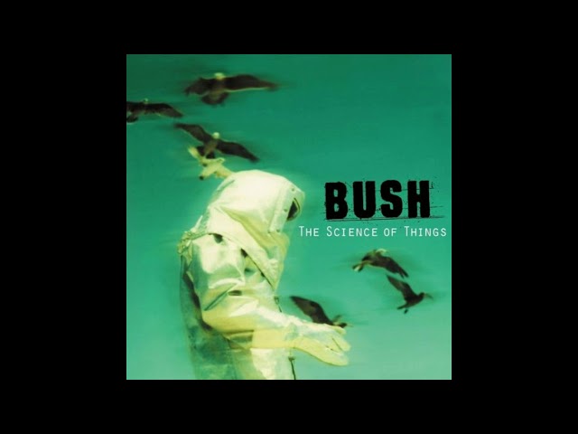 Bush - Best Tracks