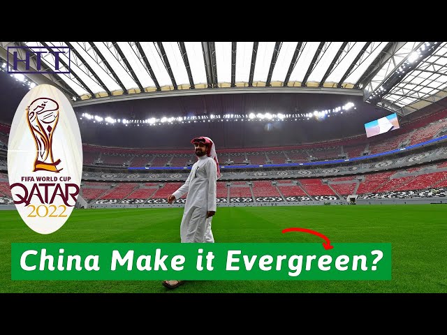 How does China technology keep the Qatar World Cup stadium evergreen?