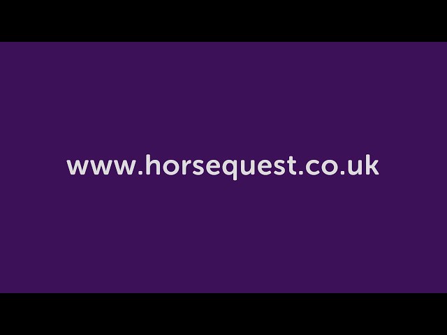 Create a HorseQuest account
