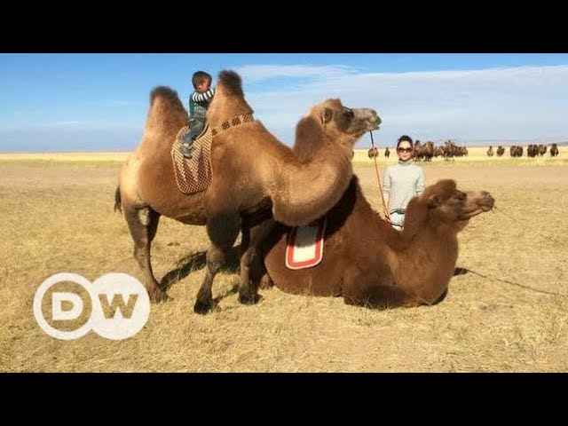 A journey through Mongolia | DW Documentary