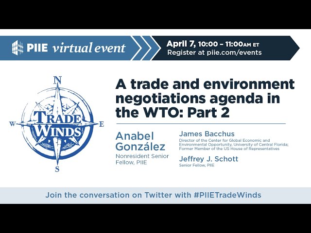 A trade and environment negotiations agenda in the WTO: Part 2