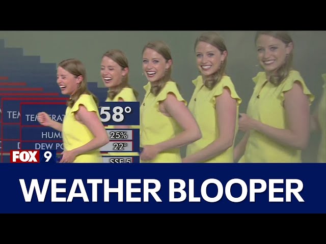 Meteorologist multiplies on screen during graphics glitch | FOX 9 KMSP