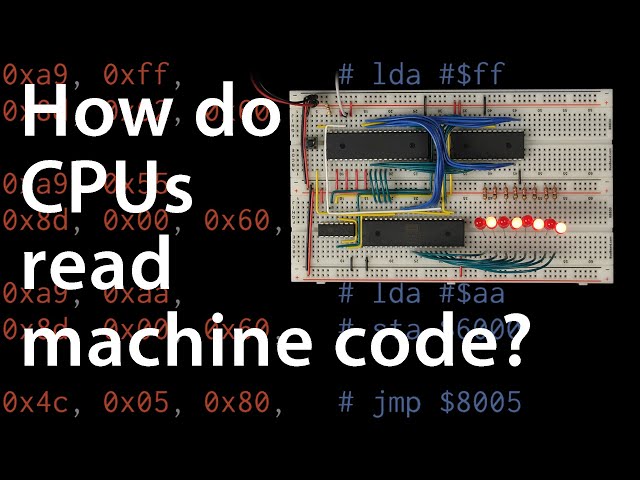 How do CPUs read machine code? — 6502 part 2
