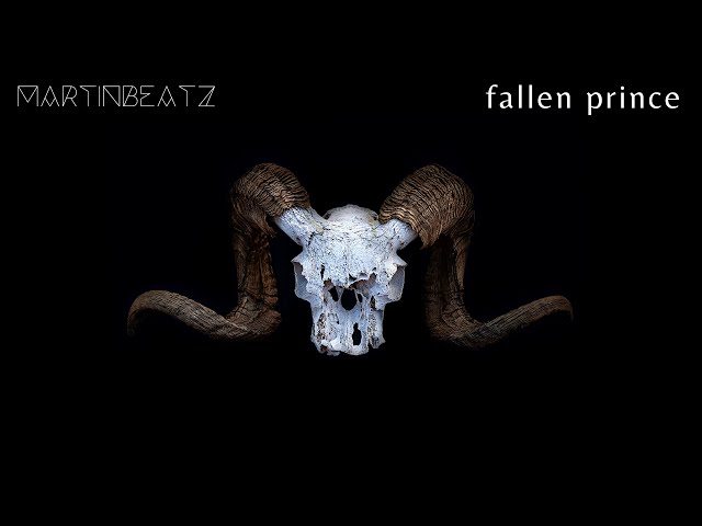 Martinbeatz - Fallen Prince [Melodic House]