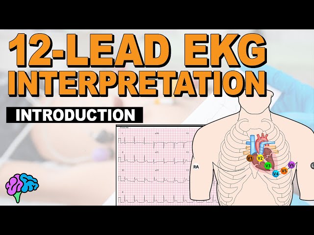 Introduction to Concepts of 12-Lead EKG Interpretation