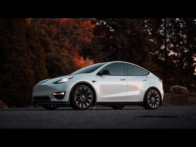 Tesla Model Y - 1 Year Review / Watch Before you BUY