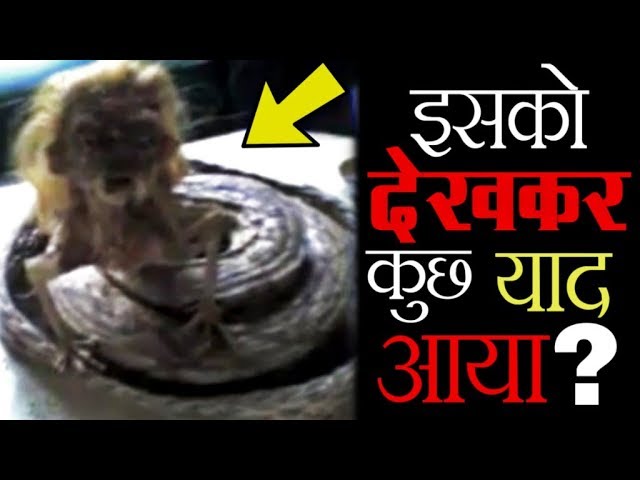 कुछ याद आया? | Internet Hoaxes That Fooled the World