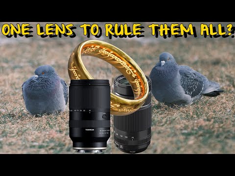 Wildlife video and photography discussions