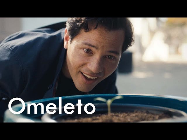 SOIL | Omeleto
