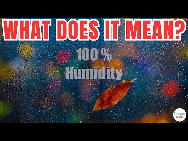 Does "100% Humidity" Mean Air Has Turned to Water?