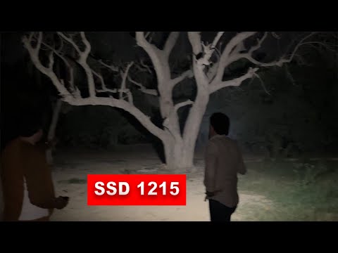 SSD 1215 | Pathar maarnay wala darakht..|