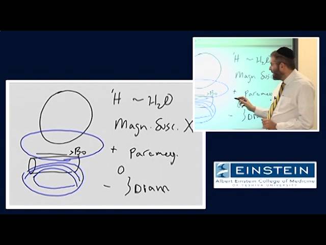 Introducing MRI: Magnetic Susceptibility Effects (51 of 56)