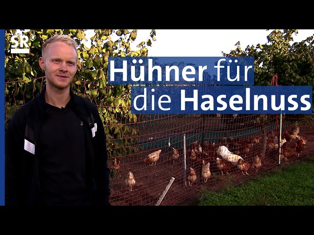 Eine Haselnussplantage in Bayern geht neue nachhaltige Wege | Genuss mit Zukunft