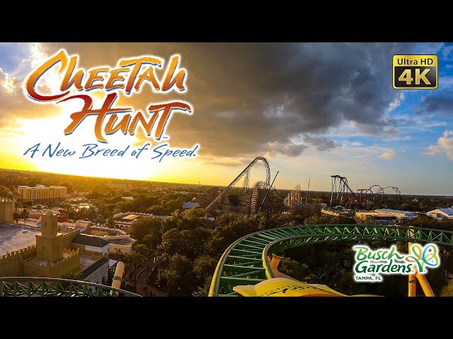 2020 Cheetah Hunt On Ride Front Seat Ultra HD 4K 60 fps POV Busch Gardens Tampa