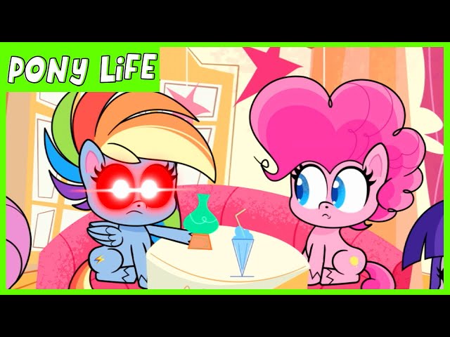 Pony Life | NEW | Rainbow Dash Loyalty Moment - Kindness Day | MLP Pony Life