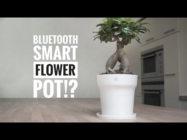 This Plant Pot is SMART and backed by Xiaomi 🔥