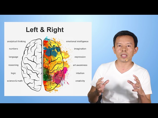 ဉာဏ်ရည် ထက်မြက်စေနည်း အပိုင်း (၃) Left Brain & Right Brain (ဦးနှောက်ဘယ်ခြမ်း နဲ့ညာခြမ်း)