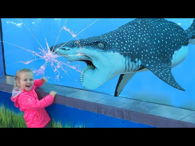 Funny Animals Reaction : Baby Shark Doo Doo - Funny Videos