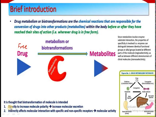Introduction of metabolism