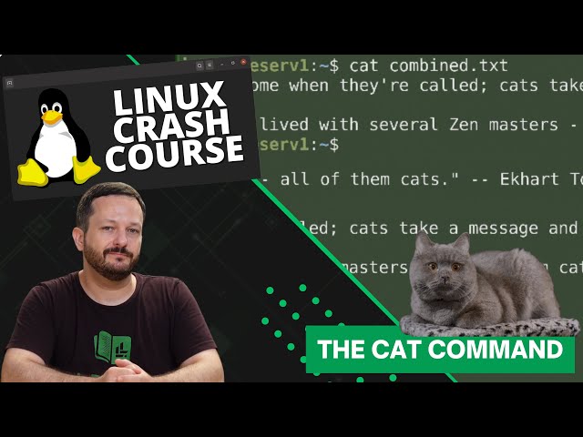 The cat Command in Linux (Featuring Real Cats) - Linux Crash Course Series