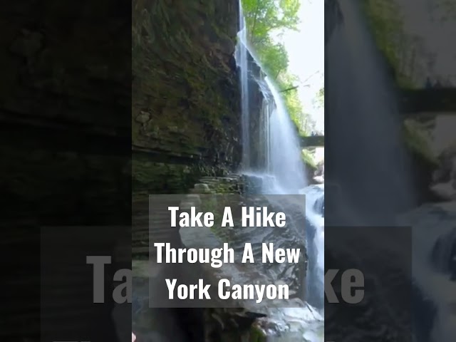19 Falls in 1.5 Miles!! Watkins Glen State Park #shorts