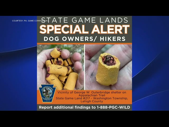 Dog treats stuffed with fishhooks found along Appalachian Trail, Pennsylvania Game Commission warns