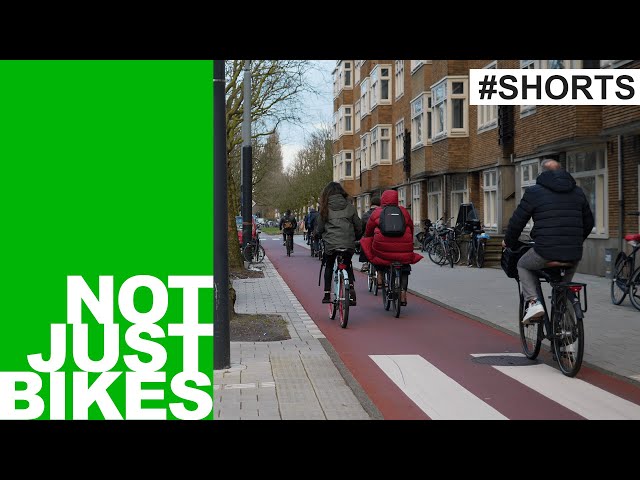 A Quick Intro to Dutch Bike Paths #shorts