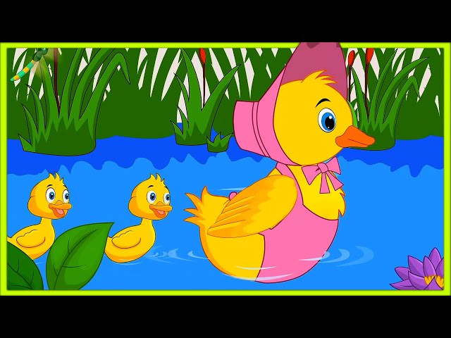 Five Little Ducks | Nursery Rhyme for Kids