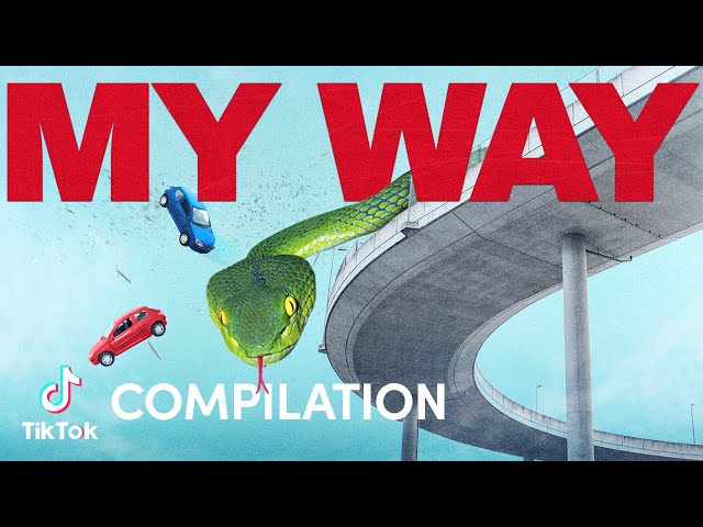 My Way | Compilation | TikTok