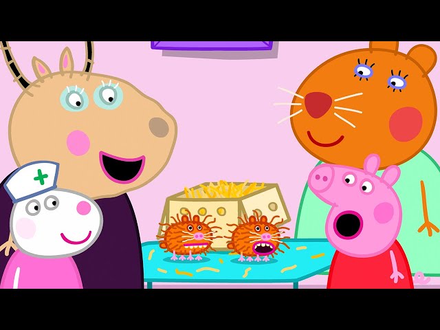 A Day With Doctor Hamster 🐹 Best of Peppa Pig 🐷 Cartoons for Children