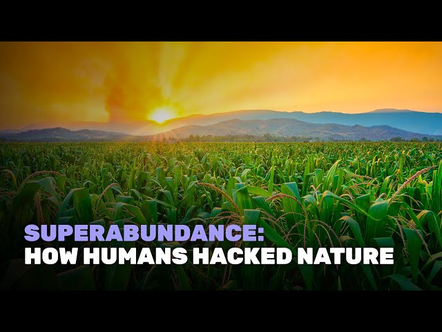 Superabundance: How Humans Hacked Nature