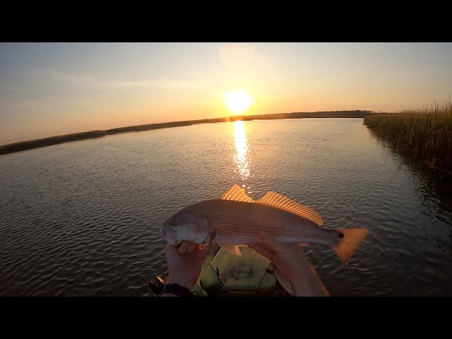 South Carolina Slot Redfish and Speckled Trout | October 2020 Week 1