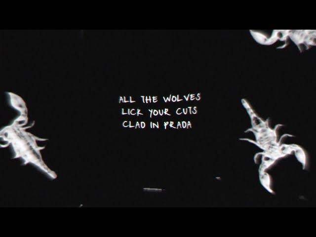 NIKI - Wide Open (Foreword) (Official Lyric Video)