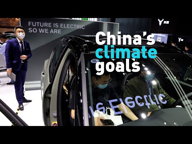 What is China doing to combat climate change?