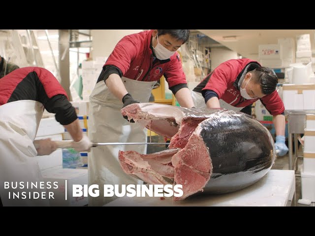 How A 600 Pound Tunafish Sells For $3 Million At The Largest Fish Market In The World | Big Business