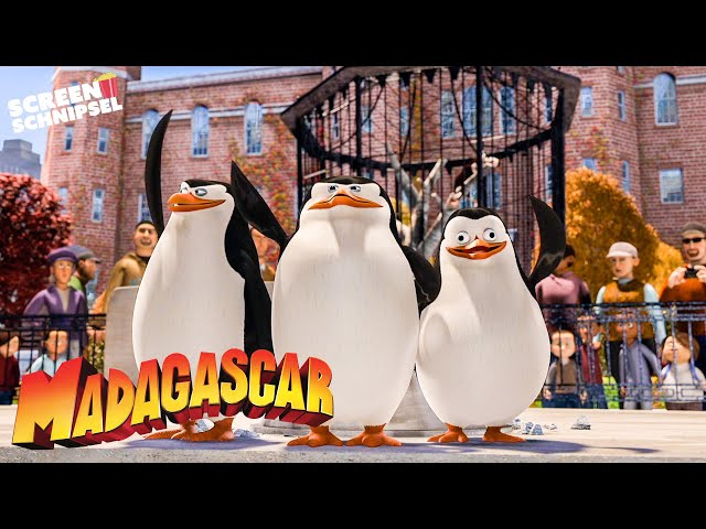 Das Beste von den Pinguinen | Madagascar | Screen Schnipsel