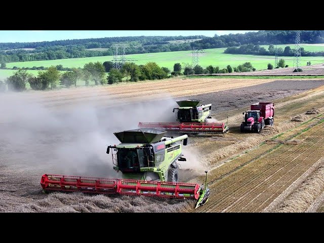 CLAAS LEXION  795 - Monsters Edition