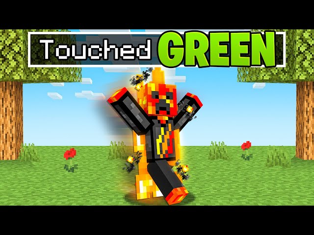 Minecraft but You Can't Touch The Color...