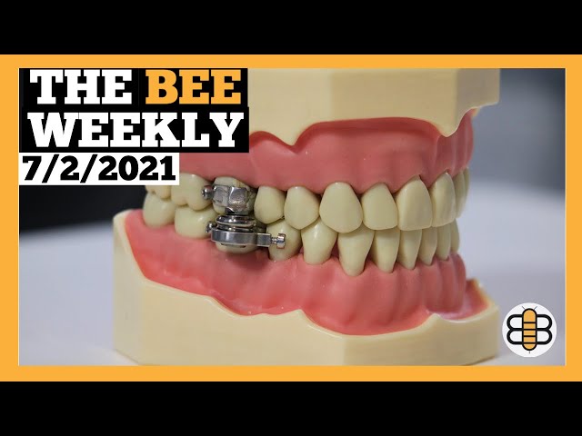 THE BEE WEEKLY: Most Hated Bee Headlines, Christian Lyrics, and Lies From Subway