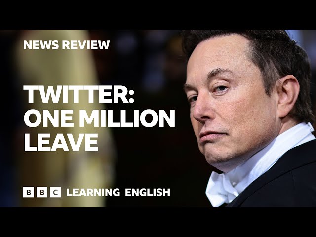 Twitter: One million leave: BBC News Review
