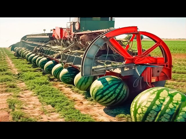 Farmers Use Farming Machines You've Never Seen - Incredible Ingenious Agriculture Inventions ▶2