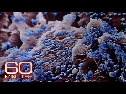 Chasing the bird flu | 60 Minutes Archive
