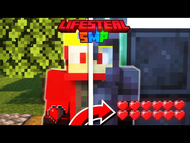 I Became Rich To Kill This One Player on This Minecraft Lifesteal SMP.