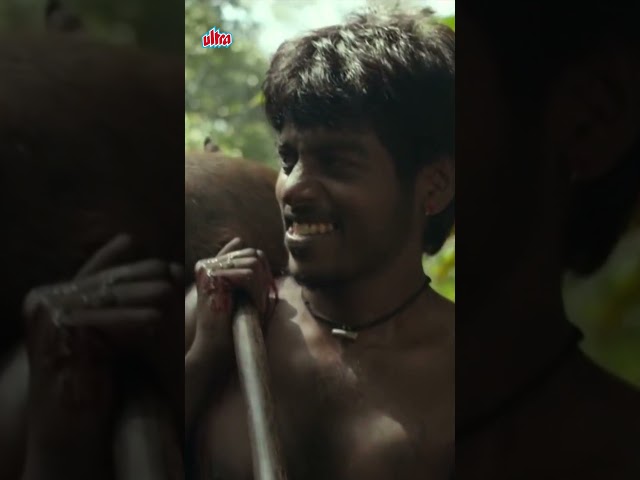 Jungle Mein Shikaari - South Hindi Dubbed Best Thriller Movie - Tovino Thomas LIVE #shorts