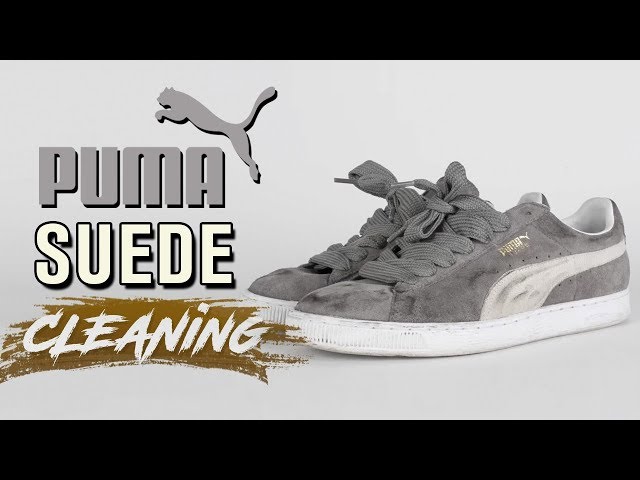 How to Clean Suede Puma's Tutorial