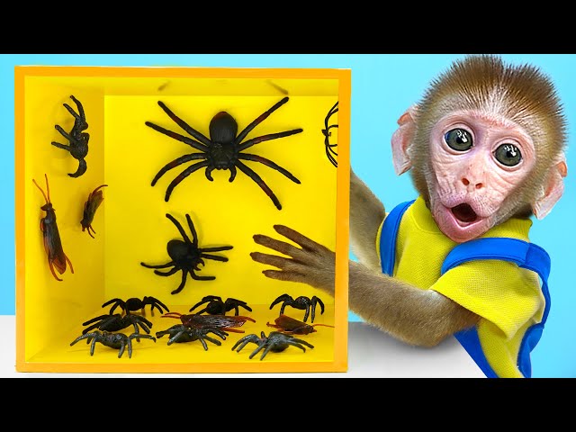KiKi Monkey challenges unboxing The Mystery Boxes & making Coca Fanta Pepsi Jelly | KUDO ANIMAL KIKI