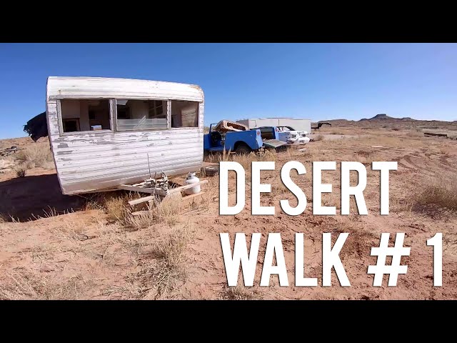 Desert Walk #1